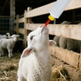 thumbnail image 6 of Durable Silicone Feeder for Lambs Cats Leak Proof Feeding Accessories Indoor Outdoor Use, 6 of 6