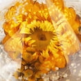 thumbnail image 3 of Molde De Silicona Transparente Flor Seca Amor Diamante Molde Decorativo Moldes De Epoxi Molde De Silicona Suave Moldeo De Vidrio Seguro Para El Hogar Diy Craft Methold HA015684-00, 3 of 7