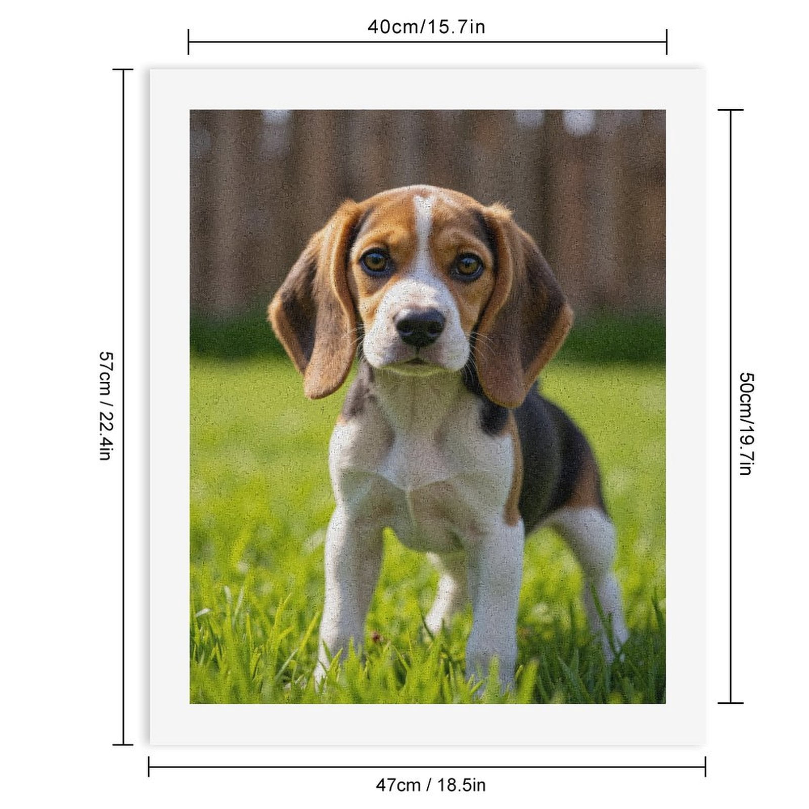 Paint by Numbers Kit for Adults, Beagle Puppy In Sunny Garden Paint by Numbers, Easy Paint by Numbers Kit for Adults Beginner, DIY Adult Paint by Number Kits on Canvas, 12x16in Home Decor