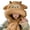 Brown, variant on HJYCHN Neck Warmer Cute Ear Cap Hat and Scarf Winter Warm Knitted Neck Gaiter for Cold Weather Scarfs for Women White One Size