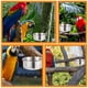 thumbnail image 4 of GOOHOCHY Alimentador de aves de acero inoxidable plato de alimentación de loros taza de alimentación de jaula de pájaros soporte para alimentos loros, 4 of 7