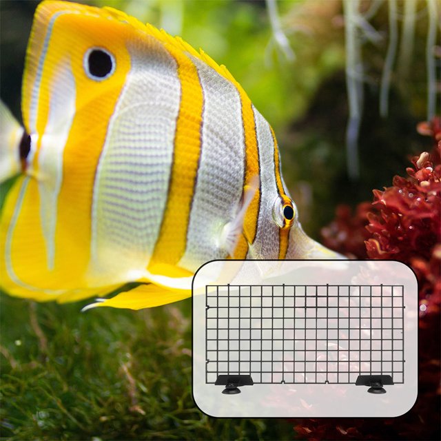 unbranded 1Jgo Divisor De Acuario Negro Para Filtrado Con Capacidad Para Arena Y