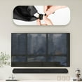 thumbnail image 3 of ZPAQI Speaker Dust Cover Water Resistant Case for HTS100F TV Speaker Protector, 3 of 11
