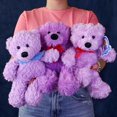 thumbnail image 2 of Set de 6 piezas Osos Mix Flomo Color Morado Surtidos de peluche, 2 of 4