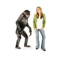 thumbnail image 4 of Advanced Graphics 1487 Chimpanzee - 56" x 23" Cardboard Standup, 4 of 5