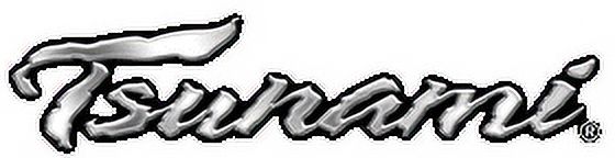 Tsunami 2Piece Galvanized Minnow Trap for Fishing