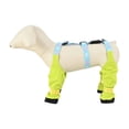 thumbnail image 1 of TIELUTT Shoes Suspender Boots Cute Shoes Winter Breathable Boots with Adjustable Buckle Strap Pet Clothes for Large Dogs Pet Clothes Rack Hanger Pet Clothes for Medium Dogs Pet Clothes Rack Small Pet, 1 of 6
