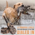 thumbnail image 2 of Collar de adiestramiento para perros SportDog WetlandHunter 1825X Camo, 2 of 8