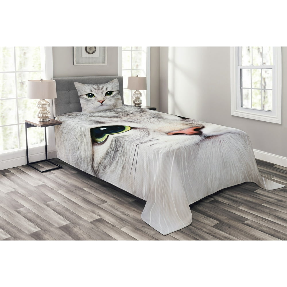 Cat Bedspread Set Twin Size, Cute Cat Print Kitten Kitty Closeup