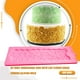 thumbnail image 5 of Advancent Accesorios de molde de rosa 3D para Fondant, molde para hornear, herramienta de decoración DIY para el hogar, moldes de silicona para galletas Herramientas y accesorios para hornear Advancent HA080721-00, 5 of 6