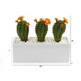 thumbnail image 2 of 11in. Cactus Succulent Artificial Plant in Glazed White Planter, 2 of 2