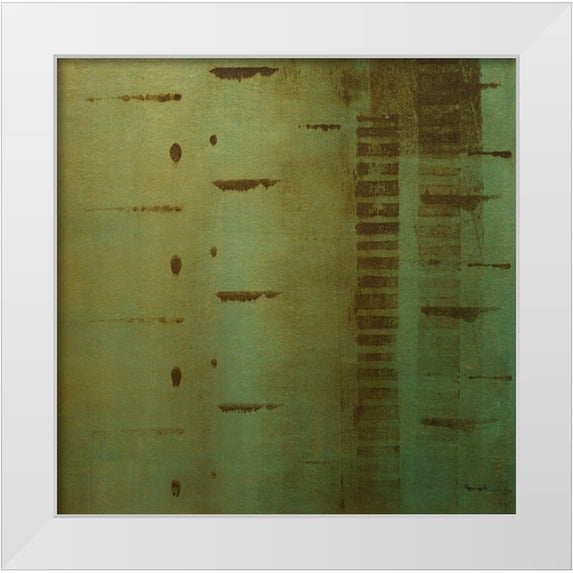 Springet, Mike 12x12 White Modern Wood Framed Museum Art Print Titled - Echo 3