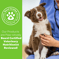 thumbnail image 3 of Natural Wag Fiber For Dogs , All-Natural Psyllium Fiber Supplement for Dogs Digestion & General Health, 3 of 6