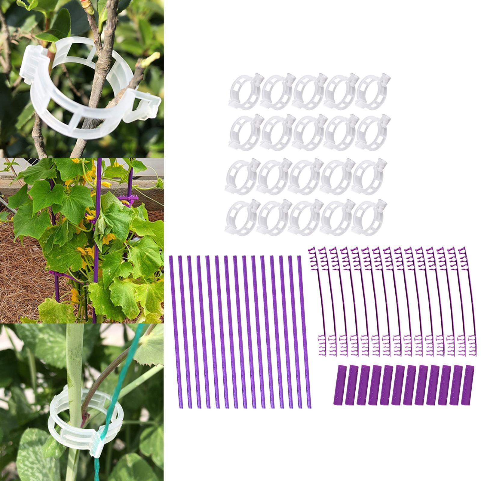 Nishiyuenyi Adjustable Climbing Plant Support Plant Trellis for Outdoor Vegetable Tomato