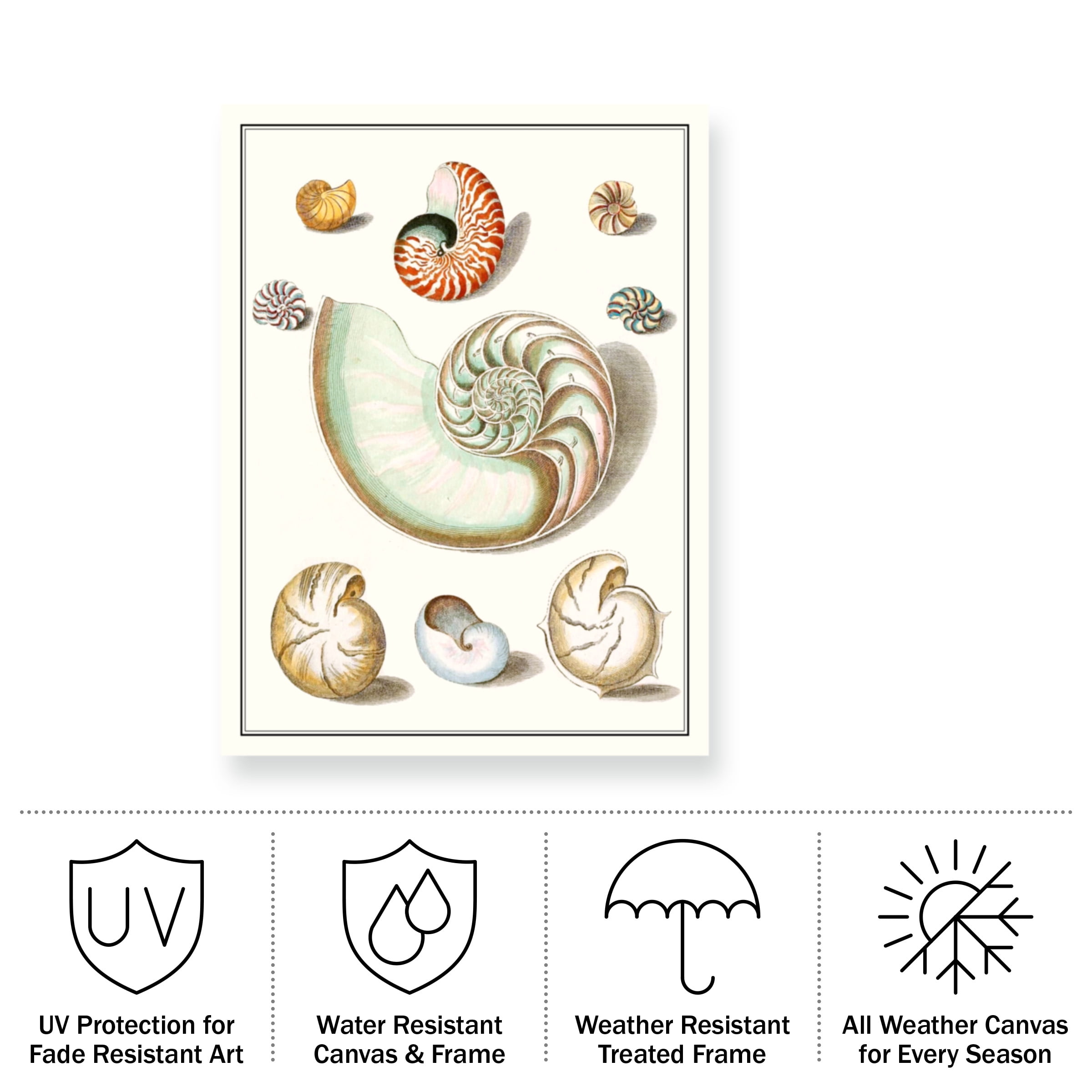Vision Studio 'Collected Shells II' Outdoor Canvas
