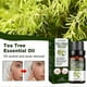 thumbnail image 5 of Tea Tree Essential Oil Tea Tree Oil 10ml Tea Tree Essential Oil For Clear Skin Pure Therapeutic Grade Tea Tree Oil, 5 of 5