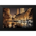 thumbnail image 2 of Frank, Assaf 14x11 Black Modern Framed Museum Art Print Titled - Central Park Glow, 2 of 5