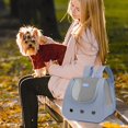 thumbnail image 3 of Wekity Pet Outing Backpack,Cat Backpacks for Carrying,Dog Carrier Backpack,Fully Ventilated Mesh Adjustable Portable Backpack,Pet Backpack for Traveling,Dog Carrier Bag for Hiking Walking Cycling-0619, 3 of 5