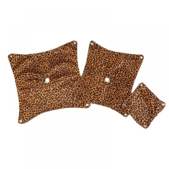 Biographical and Genealogical Record of La Salle County, Illinois; Volume 2 (Hardcover)