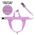 thumbnail image 3 of Pet Artist No Pull Pet Dog Harness Soft Padded Front Leading Adjustable Vest with Handle Quick Fit, 3 of 9