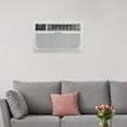 thumbnail image 5 of Pelonis 10,000 BTU Through-the-Wall Air Conditioner - 3-in-1 Cooling, 5 of 5