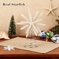thumbnail image 3 of Sinkoo Natural Starfish Christmas Tree Topper, 6 Inch Starfish Treetop Coastal Christmas Holiday Decoration for Sea Nautical Beach Themed Xmas Decor, 3 of 8