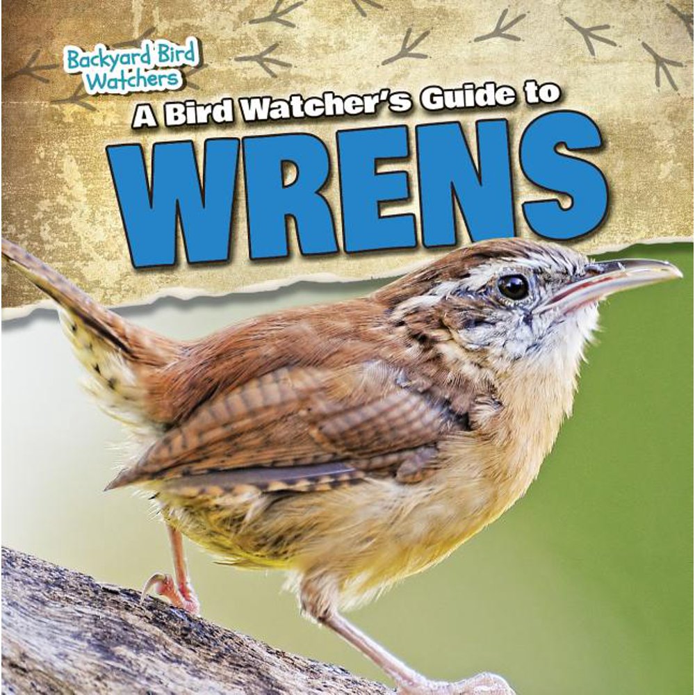 Backyard Bird Watchers A Bird Watcher's Guide to Wrens (Paperback