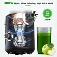 thumbnail image 4 of Cold Press Juicer Machines : 5.1" Wide Feed Chute Slow Masticating Juicer for Whole Fruits & Vegetables, Easy to Clean, High  Yield, , Black, 4 of 6