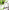 Green+Stand Wheels+2 Battery, variant on BAOKALER Electric Weed Eaters Cordless,2AH Battery Powered Weed Wacker with Charger, Grass Trimmer with Supporting Wheels, Grass Cutting Machine with 1 Batteriy for Yard and Garden, Green