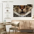 thumbnail image 4 of Elephant Stock Cat Whiskers Wall Art - Horizontal Multi Panel Canvas - Living Room Wall Decor - Animal Multi Panel - Gray And Brown Decor - 33" x 20", 4 of 4
