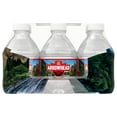 ARROWHEAD Brand 100 Mountain Spring Water, 8ounce mini plastic