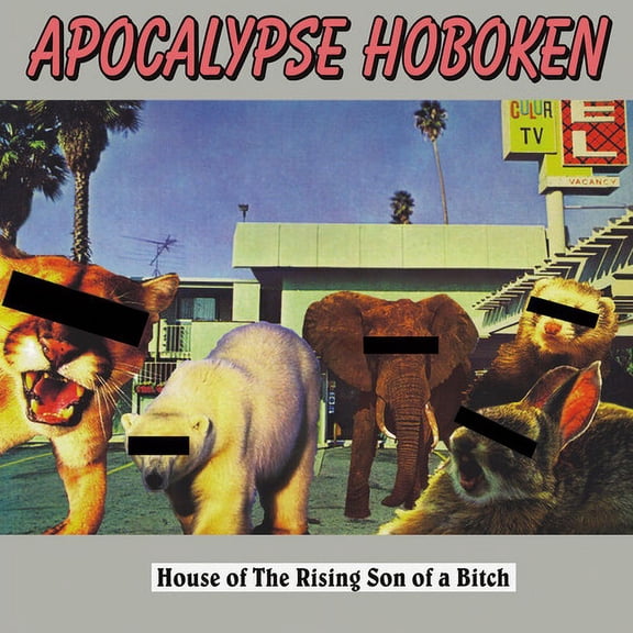 Apocalypse Hoboken - House of The Rising Son of A Bitch - SILVER - Music & Performance - Vinyl