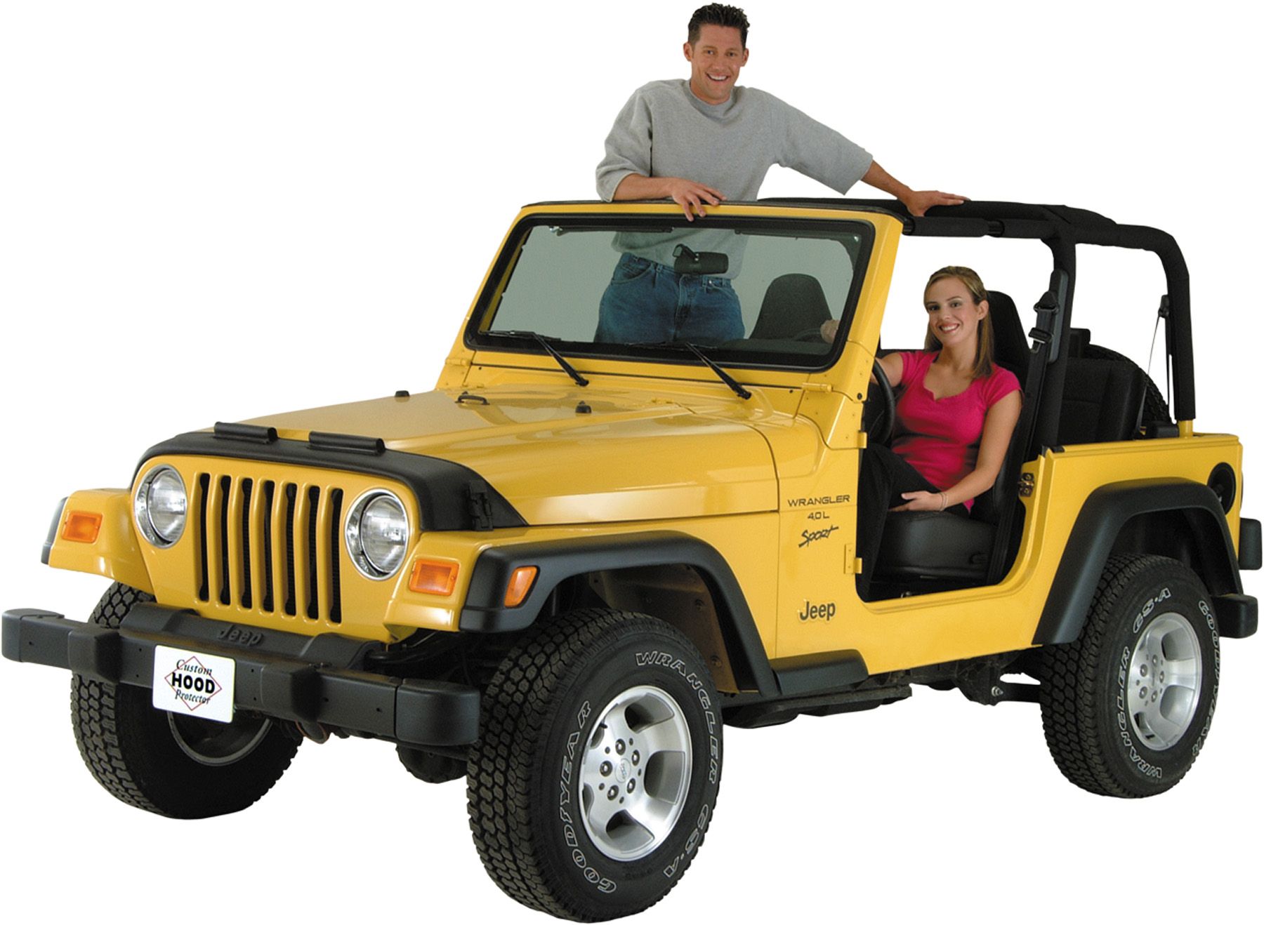 LeBra 4530301 Hood Protector