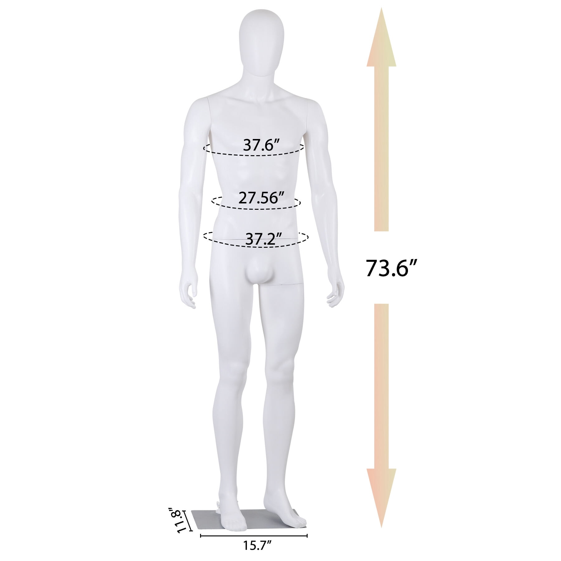 ZENY 73" Full-Body Male Mannequin with Adjustable Metal Base, White, 73.62", New