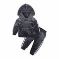 thumbnail image 2 of Odeerbi Baby Girls Clothes Toddler Outfit Autumn Winter Golden Velvet Hooded Pullover Long Sleeve Top 2025 Casual Pants Suit Dark Gray, 2 of 9