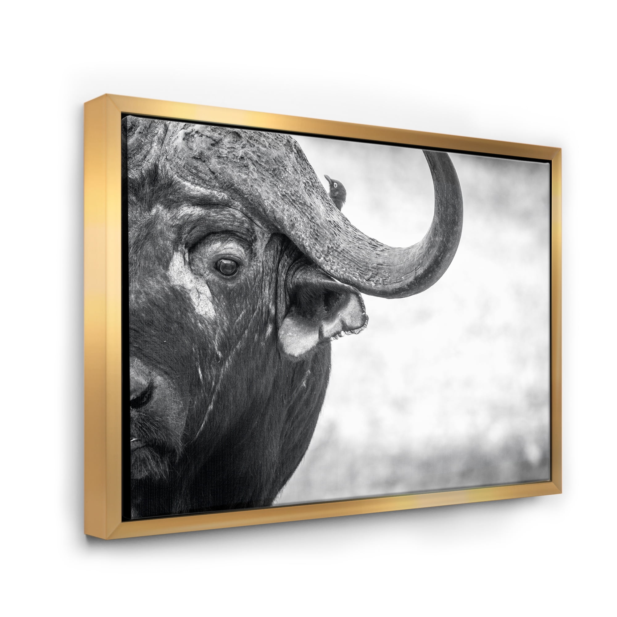 Black and White Portrait Of Buffalo III 40 in x 30 in Framed Photography Canvas Art Print, by Designart