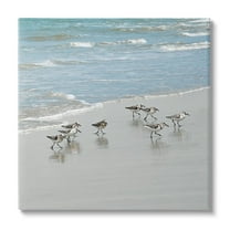 Stupell Industries Sandpipers Flock Sandy Beach Shore Coastal Painting Gallery Wrapped Canvas Print Wall Art