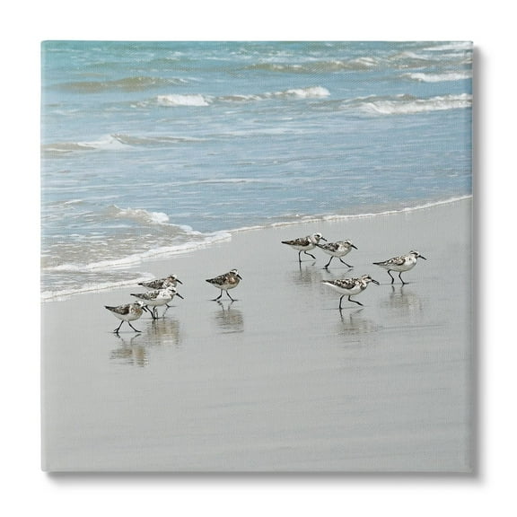 Stupell Industries Sandpipers Flock Sandy Beach Shore Coastal Painting Gallery Wrapped Canvas Print Wall Art