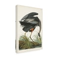 thumbnail image 2 of John James Audubon 'Great Blue Heron' Canvas Art, 2 of 3