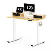 FlexiSpot 48x24 Electric Standing Desk with One-Piece Desktop, 2 Removable Drawers, Headphone Hook, 4 Height Memory Presets, 250lbs Capacity Ergonomic Sit Stand Desk with Monitor Stand