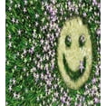 thumbnail image 3 of Garden Duvet Cover Sets, Smiling Emoticon on the Grass with Spring Flowers Happy Humorous Meadow Print, Bedding Set with 2 Duvet Covers & 4 Pillowcases, 2 Pack King Size, Lavender Green, by Ambesonne, 3 of 3