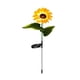 thumbnail image 3 of Girasoles Solar Impermeable Jardín Patio Césped Lámpara Noche Navideña, 3 of 5