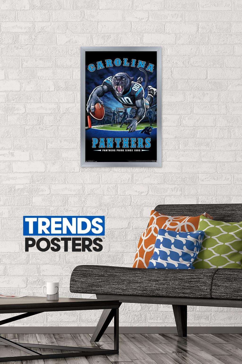 NFL Carolina Panthers - End Zone 17 Wall Poster, 14.725" x 22.375", Framed