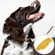 thumbnail image 4 of Collar de perro impermeable para perros pequeños, medianos y grandes, collares ajustables a prueba de olores, 4 of 5
