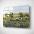 thumbnail image 2 of Epic Art 'Field of Cattle I' by Tim O'Toole, Acrylic Glass Wall Art, 24"x16", 2 of 3