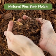 100% Natural Pine Bark Mulch Nuggets (12 Quarts), Small Mulch Chips for Indoor/Outdoor Container Gardening, Ideal for Soil Supplement, Houseplant Mulch, and Terrariums