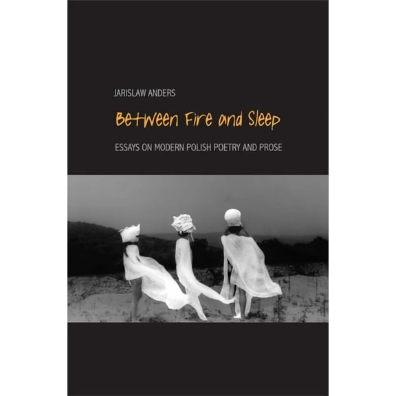 Between Fire and Sleep : Essays on Modern Polish Poetry and Prose (Paperback)