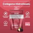 thumbnail image 3 of Colágeno Hidrolizado Mangostán 500 grs Tamarindo Flow FLOW FLOWCOLAGENOMANGOSTAN, 3 of 6