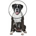 thumbnail image 2 of ZenPet E-Clear Recovery Collar, 2 of 2