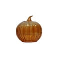 thumbnail image 1 of Orange Pumpkin Vase, Fall Hydroponic Glass Flower Vase, Vibrant Table Centerpiece, Decorative Floral Container for Thanksgiving, Halloween Party and Daily Home Indoor Decoration, 1 of 1